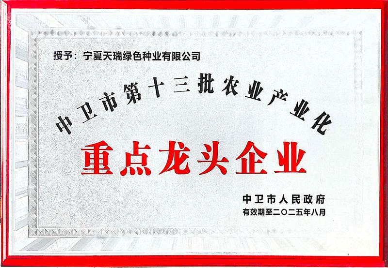 中卫市龙头企业牌匾（种业公司2023）.jpg