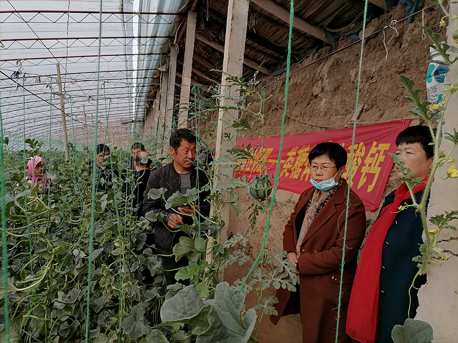 微信图片_202103150925485.jpg