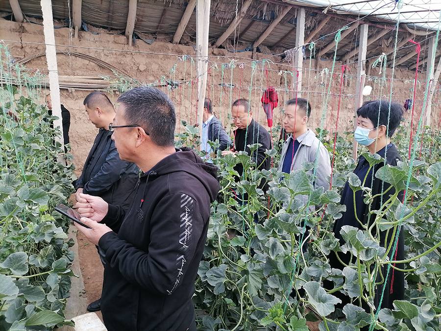 微信图片_202103150925493.jpg