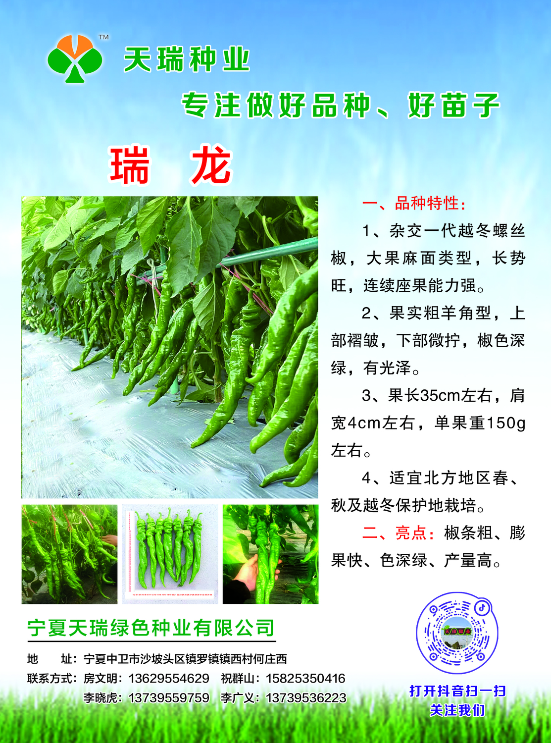 瑞龙（正）.jpg