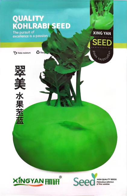 苤兰正.png