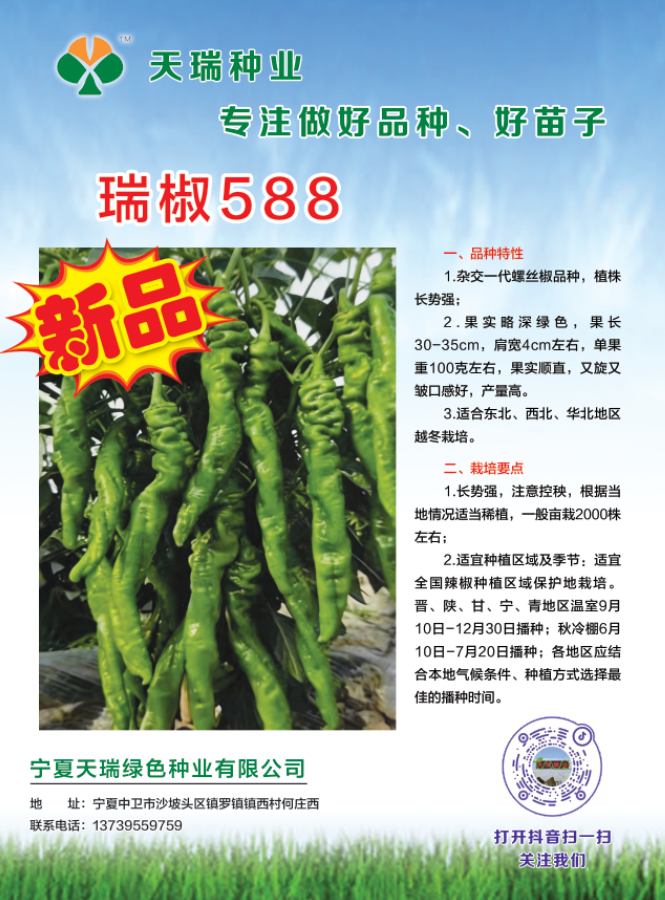 瑞椒588.png